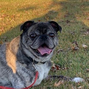 Meet your Posher, Jordann